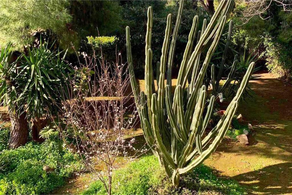 Athens Riviera Garden Views Apartment #Unoblu Экстерьер фото